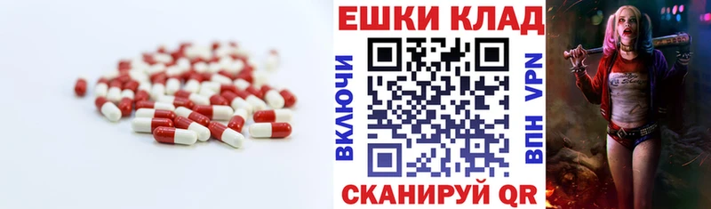 mega как зайти  площадка как зайти  ЭКСТАЗИ Punisher  Заречный 