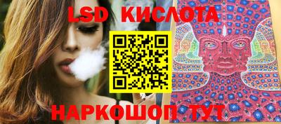 Альфа ПВП Кандалакша