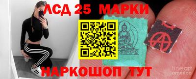 Альфа ПВП Кандалакша