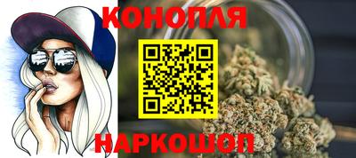 Альфа ПВП Кандалакша