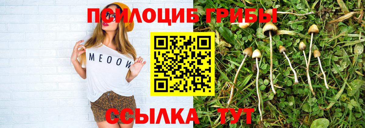 Заречный  Галлюциногенные грибы прущие грибы  Вход с VPN  Псилоцибиновые грибы ЛСД 